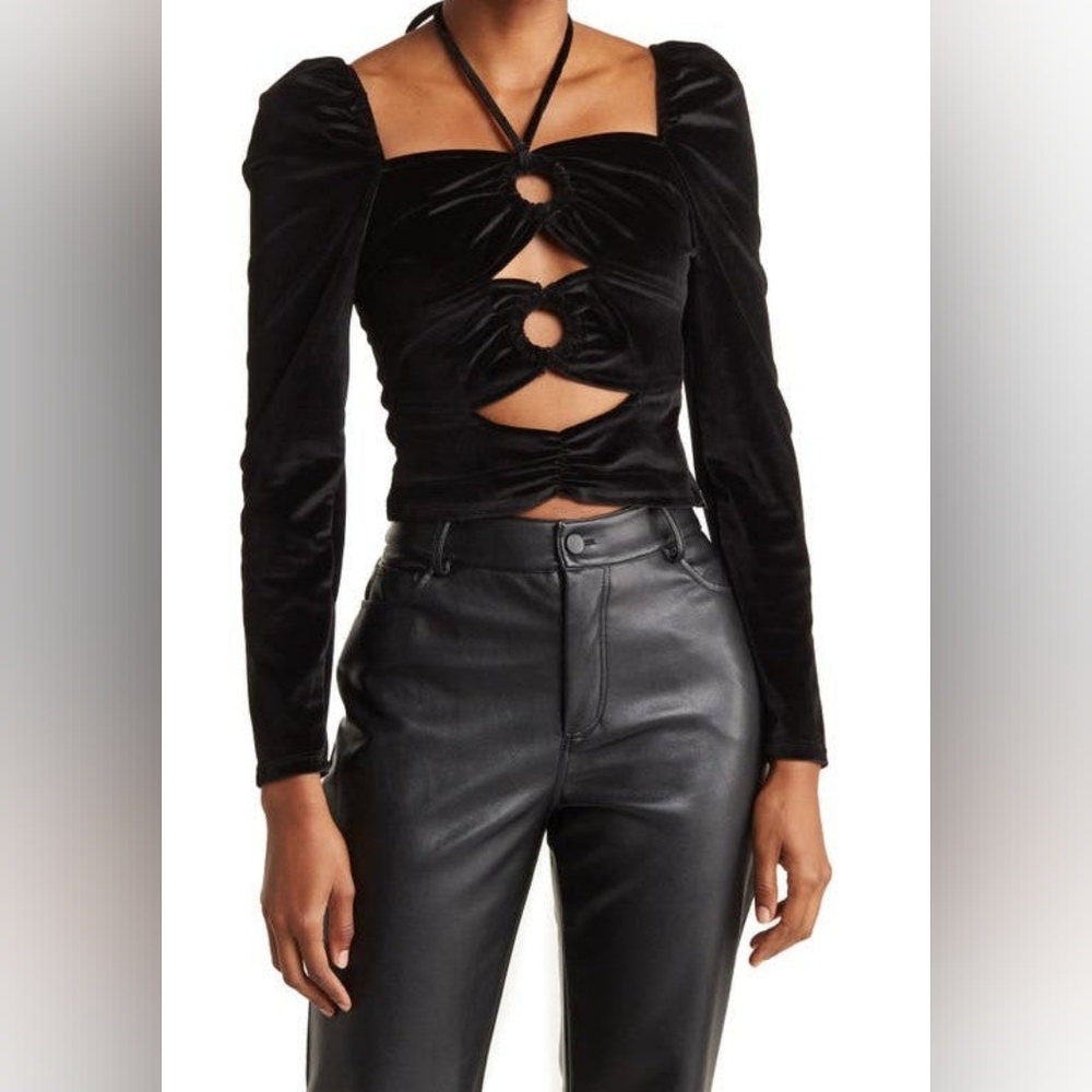 Kristen's ConsignmentTorn By Ronny Kobo "Petra Long Sleeve Cutout Velvet Crop